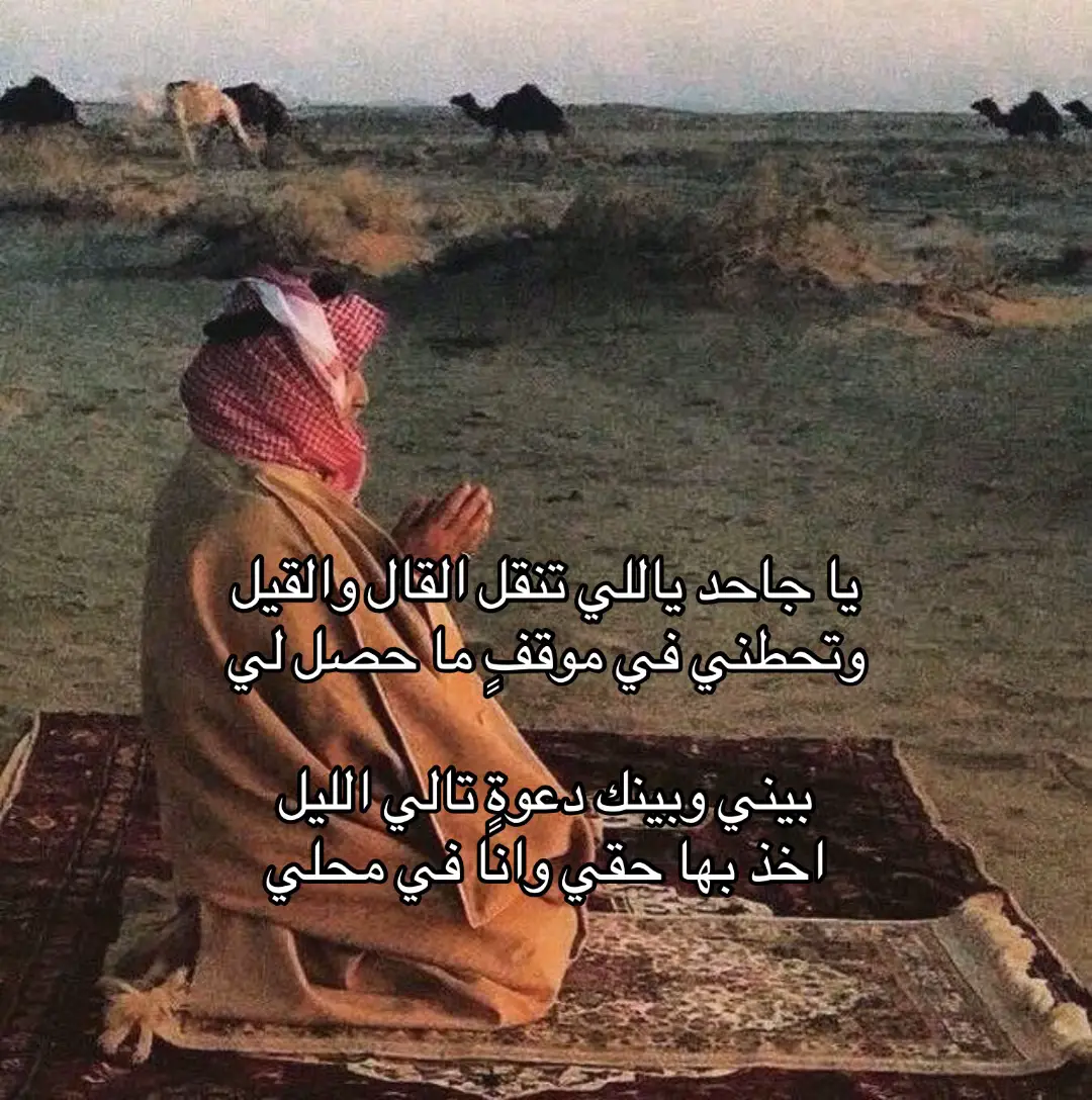 #fyp #fouryoupage #قصيد 