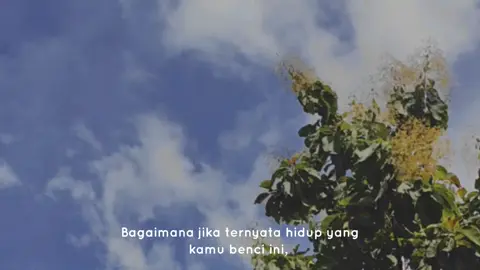 Allah tidak pernah menaruh tanggung jawab di bahu yang salah. Jika kamu yang terpilih, berarti kamu mampu.  *Jadilah diri sendiri dengan versi yang terbaik, kemudian tumbuh menjadi yang lebih indah.* Lepaskan apapun yang membuatmu terluka, ikhlaskan segala sesuatu yang membuat kecewa. Tangan kita terlalu kecil untuk menggenggam semuanya, maka nikmati saja setiap prosesnya. Karena terkadang kita lupa bahwa pemeran utama dalam hidup kita adalah diri sendiri bukan orang lain.  #beyourself #strongwomen #strongmom❤️ 