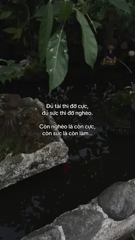 …#tamtrang #story 