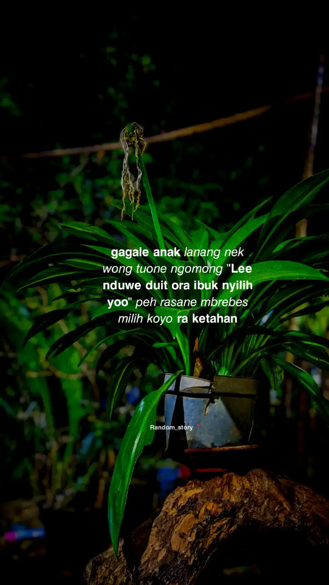 #randomstory 