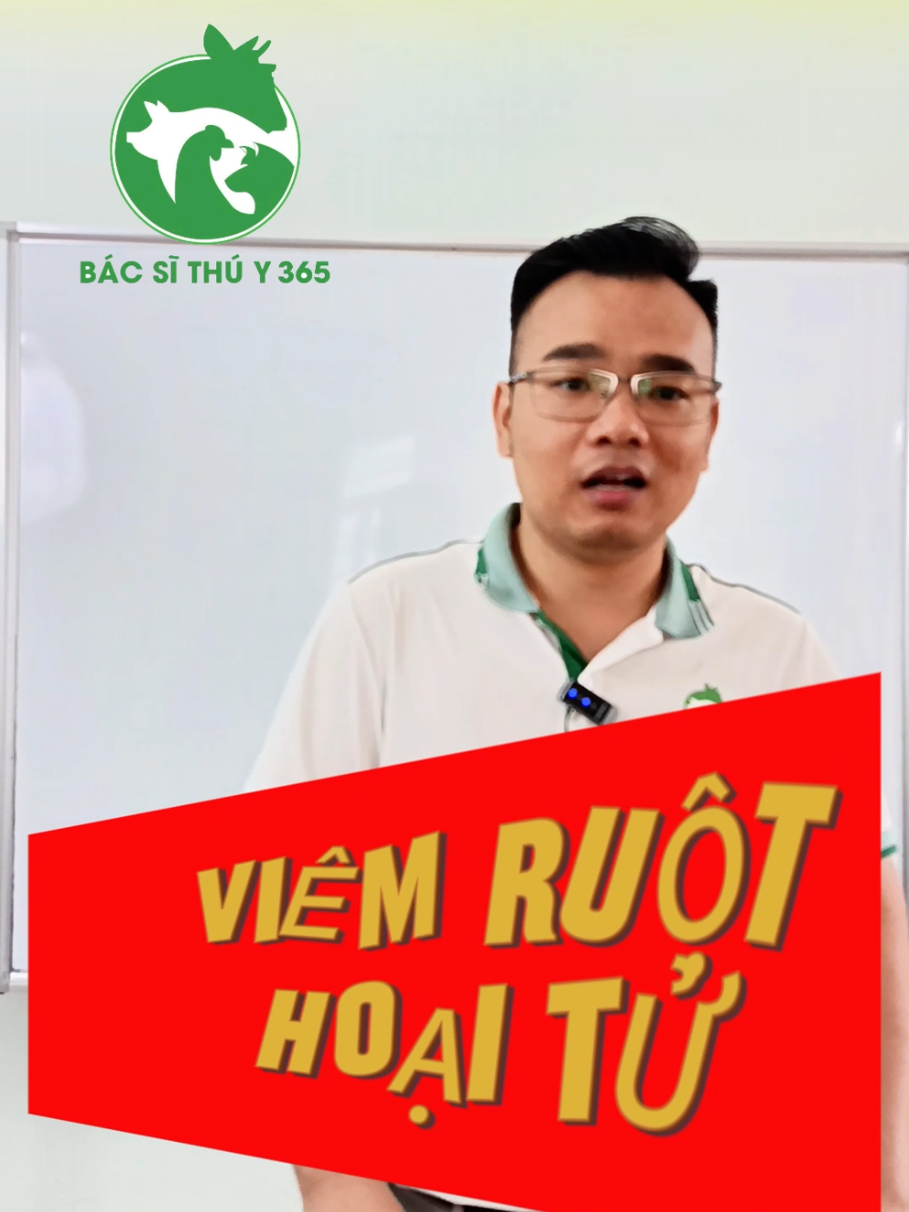 Viêm ruột hoại tử #channuoi #bacsithuy #channuoiga #chimbocau 