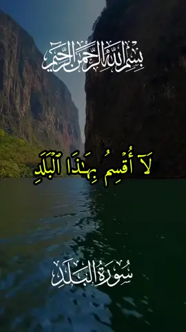 #قرآن_quran #لا_أقسم_بهذا_البلد #سورة_البلد #عبد_الباسط_عبد_الصمد #الحنجرة_الذهبية #مزامير_آل_داود #الذكر_الحكيم #تلاوات_خاشعة #تلاوات_قرآنية #آيات_قرآنية #القرآن_الكريم #quran_alkarim #راحة #أرح_سمعك_وقلبك #foryoupwge #fypシ゚viral #اكسبلورexplore 