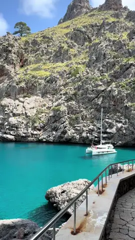 #Summer #fyp #foryoupage❤️❤️ #vacationmode #travel #traveltiktok #tiktokviral #vibes 