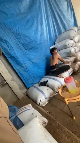 tolong pak purnomo @nangkontel  @kikibasir40 @tatangyunaantata  #fyp 