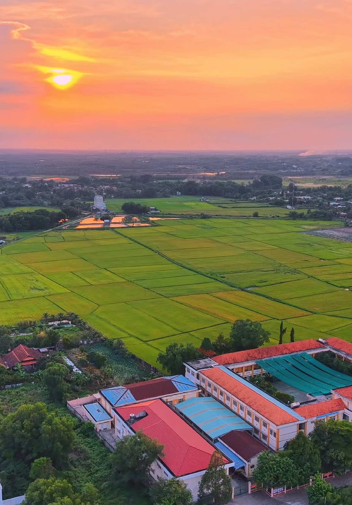 Hoàng Hôn đường Bàu Tre xã Tân An Hội.#xuhuong #quêhươngtôi #cuchi #anhthomassagecc #quehuong 