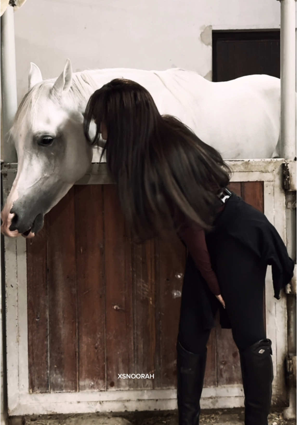 لطامي 🐎🤍#viral #fyp #foryou #نورة #noorah #اكسبلور #حب #اغاني #حسين_الجسمي #خيل #horse #اسطبل #خبل_عربي #خيل_وخياله🐎 