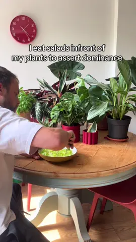 Alpha plantdaddy  #plantdad #encouragement #plantcaretips #growbig #bigplants #plantdaddy #plants 