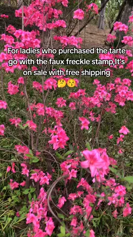 Such a great deal 