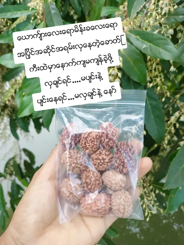 #စိတ္ရွည္ရွည္နဲ ့ဂရုတစိုက္လိမ္းေပးရင္မ်က္နွာမွာျဖစ္ေနတ့ဲအမဲစက္/တင္းတိပ္/ဝက္ျခံ/ေနေလာင္ဒဏ္ေတြကိုသက္သာေပ်ာက္ကင္းေစပါတယ္#မ်က္နွာေလးျဖူပီးလွေနဖို  ့#ဘုတလတ္ေစ့ #ထိုင္းေနရာအႏွ႔့့ံပို႔ေပးပါတယ္ရွင့္🙏🌈🌈 #ေမျမတ္မြန္ #foryou #fypシ゚ #fyppppppppppppppppppppppp 