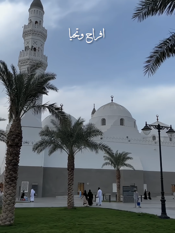 The SINS Nasheed 🤍🎧 @Yuسaf  #frenzy_edits1 #islamic_video #thesins #nasheed #soothing #lofi #useheadphones #slowedandreverb #islamicstatus #islam #fyp 