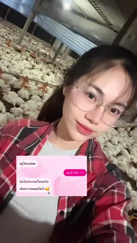 อยู่เล้าไก่จ้าา 😂😆  #เด็กเลี้ยงไก่🐓 #ไก่เนื้อ #ไก่ส่งออก #เบทาโกร 