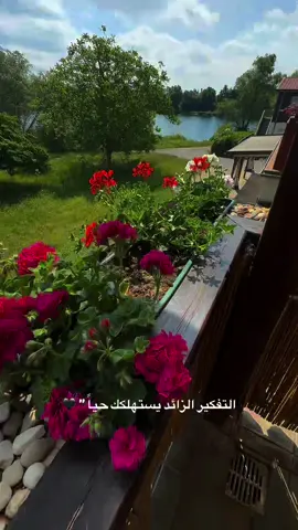 #جنگو🐊 #fyp 