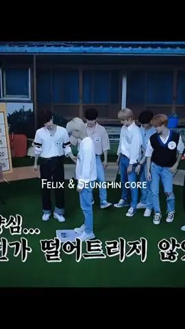 Соседушки  #felix #straykids #seungmin #hyunlix #3racha #minsung #seungbin #jeongin #skzoo #hyunbin #2min #hyunbin #2min #changbin #bangchan #leeknow #hanjisung #i_n #hyunjin #2chan #hyunho 