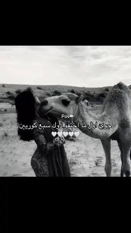 🤎احسن والله