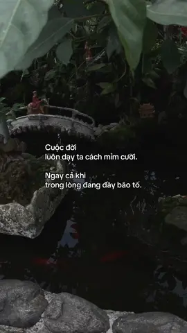 …#tamtrang #story 
