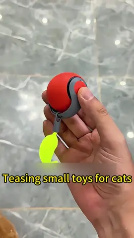 Petgravity Speedy Sprint Bal Toy forCat, Type-C Rechargeable Interactive Cats Toy, Automatic Cat Teaser ToyPet Supplies #petgravity #petgravityball #cattoy #cattoyball #catenrichment #cathealth #catfun #catsoftiktok #catmom #catdad