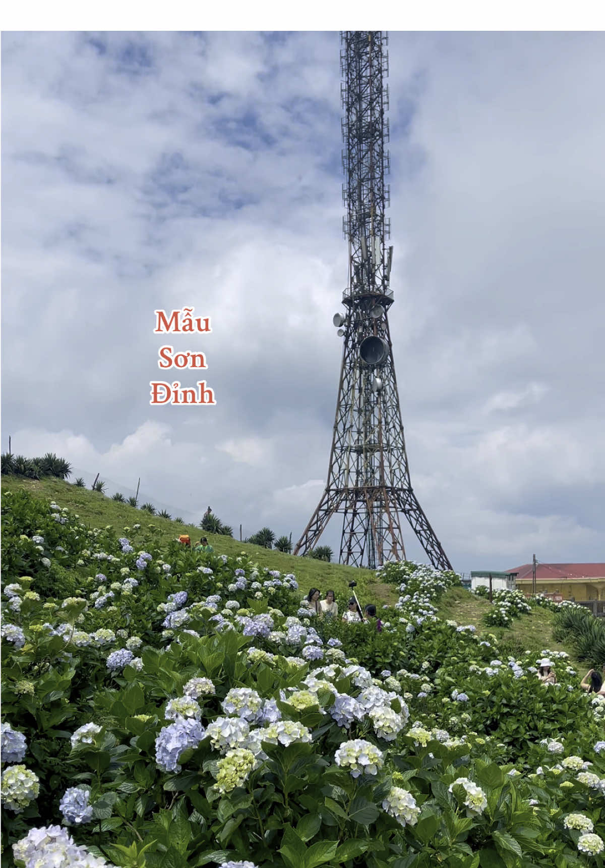 Rất lâu rồi mới lên đỉnh#hiềnthuýls #hiềnlạngsơn #đỉnhmẫusơn #hoacẩmtúcầu #cẩmtúcầuđỉnhmẫusơn #cẩmtúcầu #rấtlâurồimớikhóc #ngânngâncover @Hiền Thuý LS 