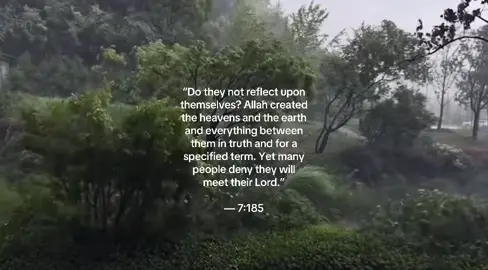 #fyp #xyzbca #pourtoi #islam #islamicreminder #sabr #alhamdulillah #deen #muslim #muslimtiktok #quran #salah #hadith #islamic_video #nature #rain 