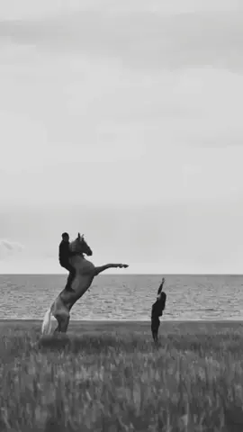 #بغيابك لعبت الشوق  #فضل_شاكر   #خيل_وخياله🐎  #مجرد________ذووووووق🎶🎵💞 @عشق الخيل @fadelchaker @Fadel chaker Fans official #ترند #تيك_توك #الخيل @عشاق فضل شاكر 
