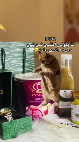 🤣🤣🤣 #CapCut #🥺🤍 #f #اغنيه_تيك_توك #fypシ゚viral #fy #💍 #شعب_الصيني_ماله_حل😂😂 #لايك #ترندات_تيك_توك #ترند #اكسبلور #زواج #زوجي #متزوجين #تدلل 