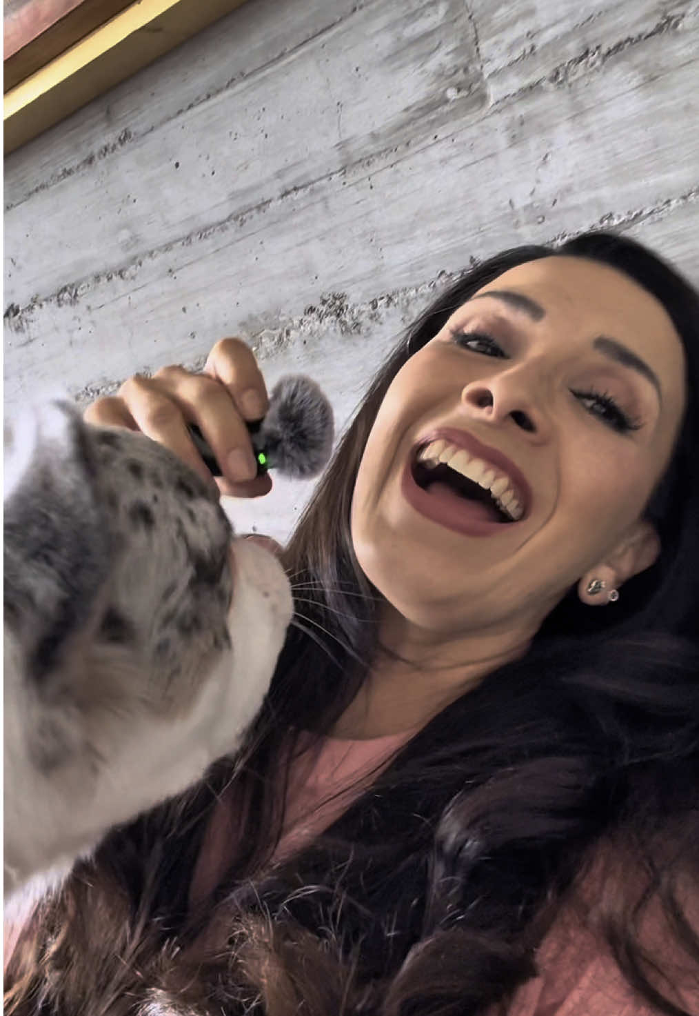 No lo olviden personas, solo para plan premium 🤭 #Personas #DalilahPolanco #ChingazoDeBesos 