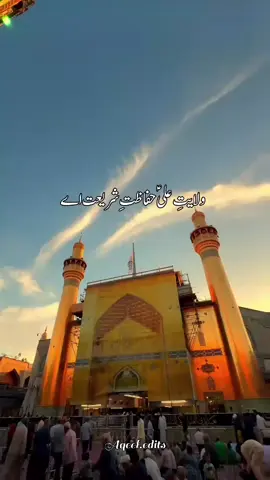 ولایتِ امیر المومنین امام المتقین مولا علی علیہ السلام  #molaali #imamali #shiastatus #shiatiktok #azadar #azadari #shianeali #shianeali 