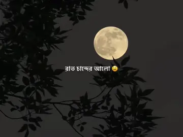 বন্ধু বিব্রতি দে না আমি, খুঁজি তোমারে তুমি কোথায় আছো কোথায় দেইখা যাও আমারে 😫🌙 . . . . . . . #foryoupage #foryou #loknath_17x #viral #trending #fyp #plzunfrezemyaccount @TikTok @TikTok Bangladesh @For You House ⍟ 
