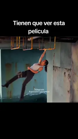 película recomendada  #paratii  #recomendado  #peliculasrecomendadas  #peliculas  #escenasdepeliculas 