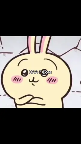 HAA-? #fyp #chiikawa #usagi 