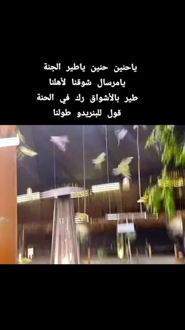 ياحنين حنين ياطير الجنة   يامرسال شوقنا لأهلنا  طير بالأشواق رك في الحنة قول للبنريدو طولنا #ياحنين_ياطير_الجنة_البلابل  #طرب_سوداني #أغاني_سودانية #غنانا_السمح #سودانيز_تيك_توك_مشاهير_السودان #explore #Ha_La #viraltiktok #fypシ゚ 