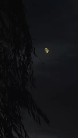 Chand sifarish 🥺🌷🍁|| Repost Request 🥺| #lyrics_song #sadsong #aesthetic #itx_yash_writes #foryou #foryoupage #unfreezemyaccount 