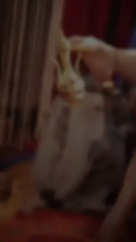 #etamecosplay #cosplay #cos