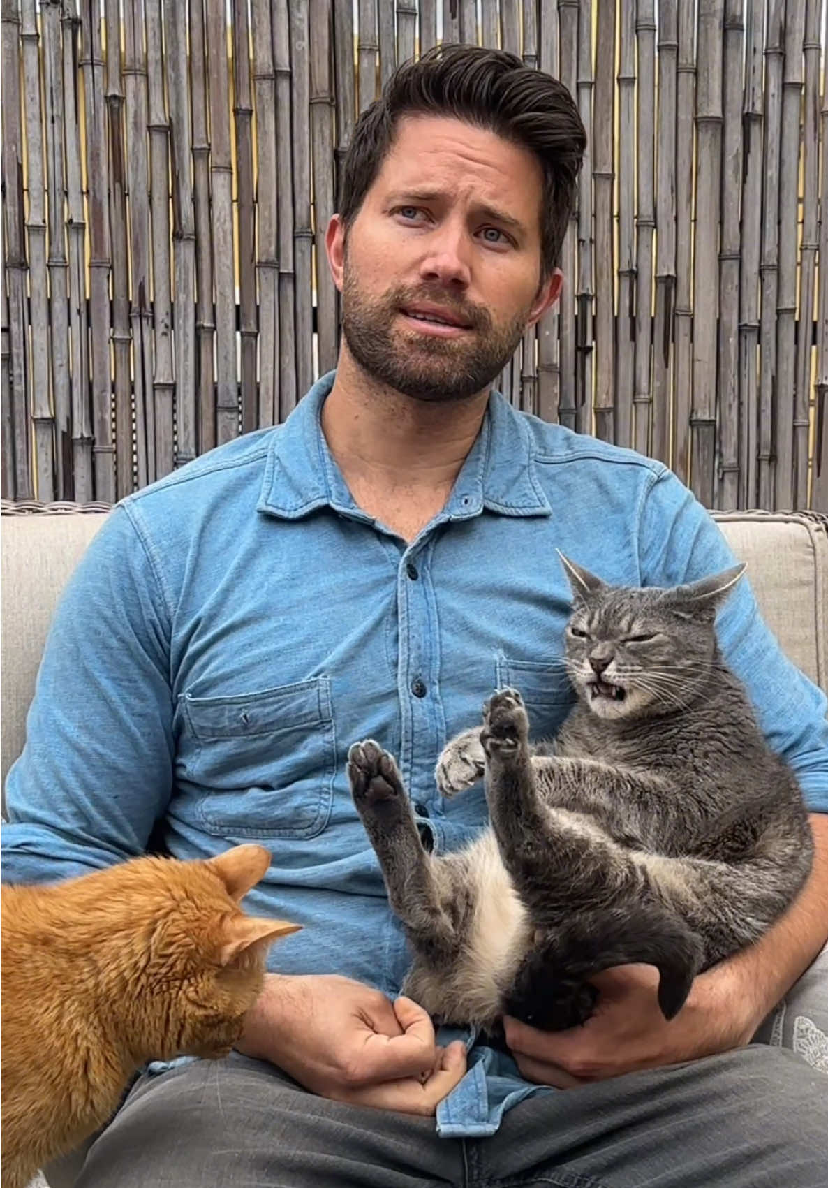 Food for thought.  #cats #guyswithcats 