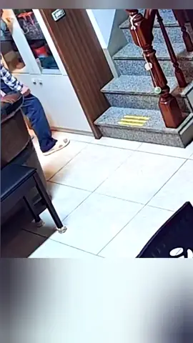 A Cat Scares Its Owner After He Used To Do That To Her 😅