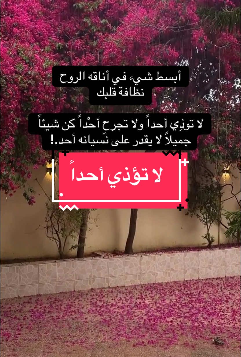 لا تؤدي أحداً#خواطر #اقتباسات #اكسبلور #al9saqr 