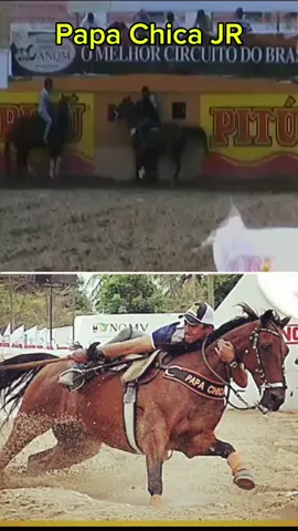 Boa tarde Vaqueirama,  Quem aí se lembra do Papa Chica Jr ? Um dos melhores cavalos potiguares em vaquejada, representando o Rancho Azevedo, animal ganhador de carros e motos nas derrubadas de touros, para conhecer a história completa desse campeão, consulte nossa página no Instagram, @equi_fort ! #vaqueirama #vaquejada #solanogrey #harasbompasto #vaqueiro #abqm #quartodemilha #cavalodeboi #ahcavalo 