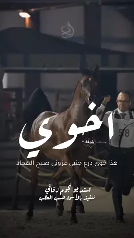 شيلة باسم اخوي 2025 شيلة مدح اخوي #استديو_نجوم_زفافي #لطلب_الشيلات_0505336824 #السعودية #الكويت #قطر  #تصميم_فيديوهات🎶🎤🎬تصميمي🔥 #تصميم_اسماء_حسب_الطلب #شيلة_باسم_اخوي #شيلة_اخوي #اخوي 