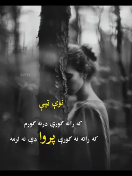 که راته نه ګورې پروا دې نه لرمه #ترنم #دکلمه #پښتوادب #پښتوشاعری #عزیزي 
