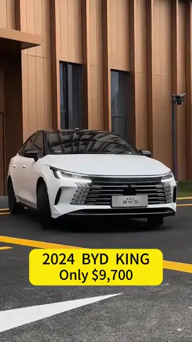 #byd #bydking #carbusiness #cartiktok #importedcars #electriccar #chinesecar 
