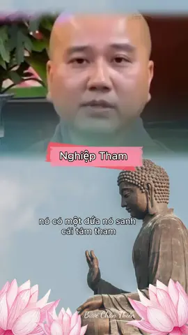 Con trong nhà có 1 đứa sanh tâm tham để hở thì nó rình, để kỹ thì nó rình #buocchanthien #phatphap #anlanh #tinhthuc #xuhuong #phatphapnhiemmau #thayphaphoaphapthoai #thayphaphoa 