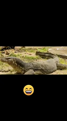 jajajaja😆😆