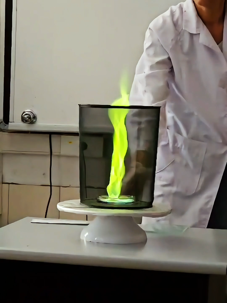 Science Experiment Show Day 😊 #experiment #Science #chemistry #physics 