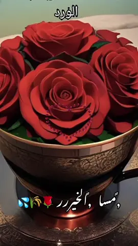 #كسسسسسسبلوور♡✿🌹✔ #🌺🍃🌺🍃🌺🍃🌺🍃🌺🍃🌺🍃🌺🍃 