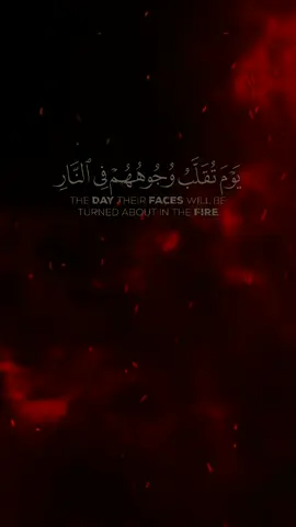 #Ramadan2025  #قورئان_ئارامی_دڵان🕋📿 #القران_الكريم_راحه_نفسية😍🕋   #قران #قران_كريم  #quran #kurdistan #erbil #slemani #dhok #karkuk #zaxo #soran #هەولێر #سلێمانی#هەلەبجە  #دهۆک #زاخو #سۆران #دعاء #اذكروا_الله #اللهم_صلي_على_نبينا_محمد #nature#سروشتى_جوانى_كوردستان #iraq #Makkah #makkahmadinah🕋 #Madinah #Madinah #مكة #المدينه_المنوره #القدس #دبي #الامارات #قطر #دوحي #كويت #المغرب #الاردن #سوريا #الجزائر #لايك #ليبيا #مصر #عمان #تركيا #بغداد #اربيل #كوردستان #capcut #foryou #fyp #fypシ #fy#uk #germany  #tiktok #tiktokindia #تيك_توك #كاب_كات  #قارئ  #اسلام_صبحي #ادريس_ابكر #عبدالرحمن_عصام #محمد_صديق_المنشاوي #منصور_السالمي #ياسر_الدوسري #بلال_دربالی #يوسف_الصقير #خالد_الجليل #رعد_محمد_الكردي #عبدالباسط_عبدالصمد #احمد_النفيس #عمير_شميم #سلمان_العتيبي #محمود_خليل_الحصري #مشاري_العفاسي #وديع_اليمني #سعد_الغامدي #هلوامين_الكردي #عبدالرحمن_السديس #هزاع_البلوشي #اسلام_صبحي #ڕزگار_کوردی #عبدالمجيد_فريزي #ريان_المحيسني #عبدالرحمن_مسعد #شریف_مصطفی #پێشەوا_قادر #هيثم_دخين #جێگر_سەردار #عمر_عبدالله #هەندرێن #عامر_الكاظمي #احمد_العجمي #فهد_عزيز_نيازي #منصور_السالمي #ولید_ابراهيم_الفلوجي #يوسف_كالو #يوسف_عثمان_الكردي #عبدالرحمن_السديس #محمد_اللحيدان #عبدالرحمن_مسعد #فرمان_شواني #عمر_عبدالله #يوسف_الصقير #یوسف_العیدروس #نورەدین_سلیم #أنس_جلهوم #پێشەوا_قادر #آية_الكرسي #محمد_اللحيدان #عبدالرحمن_الحميداني #ياسر_الزيلعي #عبد_الباسط #هێدی_عبدالله #جمیل_سرور #ماهر_المعيقلي #شريف_مصطفى #اللهم_صل_وسلم_على_نبينا_محمد  .