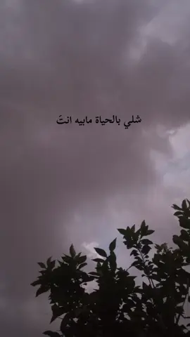 🤎🤎. 