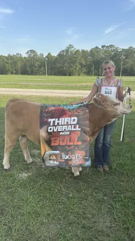Tubby did so good #fyp #tubby #keepinitcountry #viral #showcattle #showlife #blowthisup #showtime 