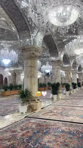 #جمال وهدوء حضرة الإمام علي🤍