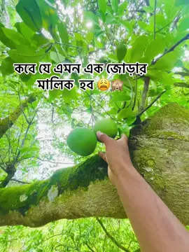 #😩😩😁🥰🥰🥰 #কালা #@Omor Always On Fire 