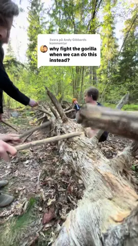Svarar @Andy Gibbard @Bobblehead @big mäk @Elias Erlandsson @Alvin Waermö #fyp #drumming #nature #naturedrumming #rave #sample #beat #producer #musiciseverywhere #dancemusic #newmusic 