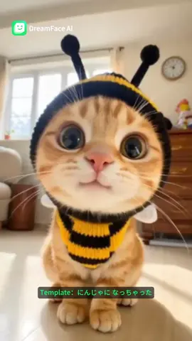 Kitty singing a song  #dreamface #cat #catlover #catlipsync #lipsync #catsinging
